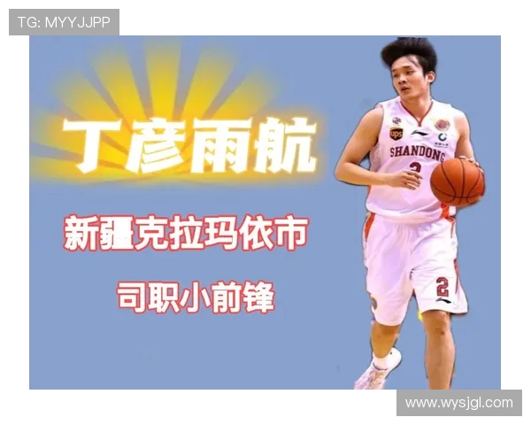 曾效力CBA的NBA球员数据总结与影响力评估